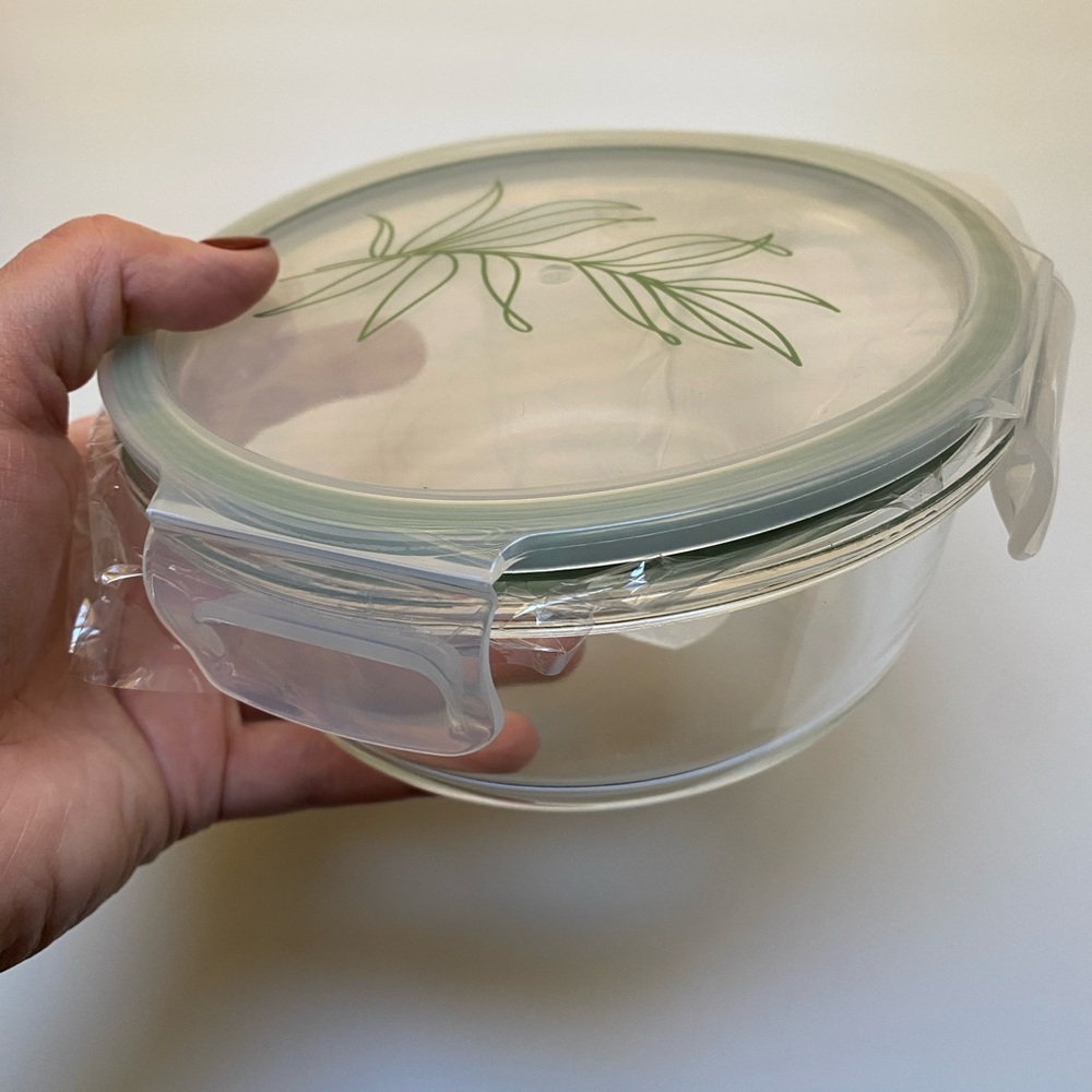 🍃🍃FOOD STORAGE CONTAINER GLASS PLASTIC LID NEW Leaf Motif